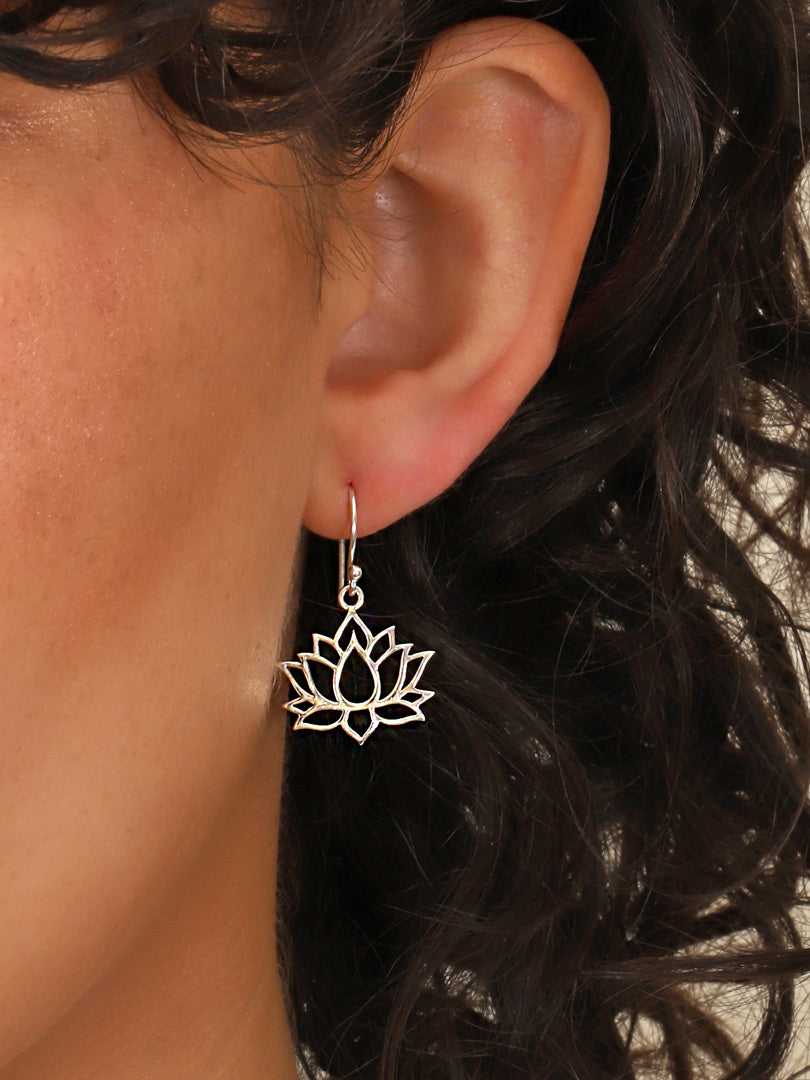 Aros Plata Limarí